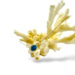 APATITE NECKLACE | KOLYE - Görsel 2